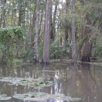 cypress_lake_rv_park_05