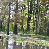cypress_lake_rv_park_06
