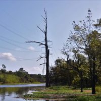 cypress_lake_rv_park_07
