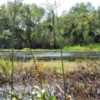 cypress_lake_rv_park_27