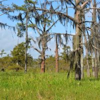 cypress_lake_rv_park_28