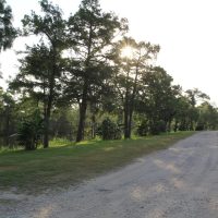 cypress_lakes_2023_4