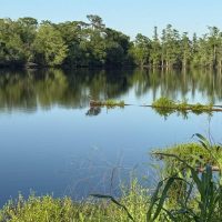 Cypress_lake_RV_2026_100