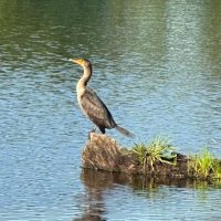 Cypress_lake_RV_2026_102