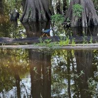 Cypress_lake_RV_2026_105